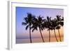 USA, Hawaii, Molokai. Palm Tree, Morning-Walter Bibikow-Framed Photographic Print