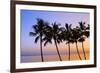 USA, Hawaii, Molokai. Palm Tree, Morning-Walter Bibikow-Framed Photographic Print