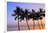 USA, Hawaii, Molokai. Palm Tree, Morning-Walter Bibikow-Framed Photographic Print