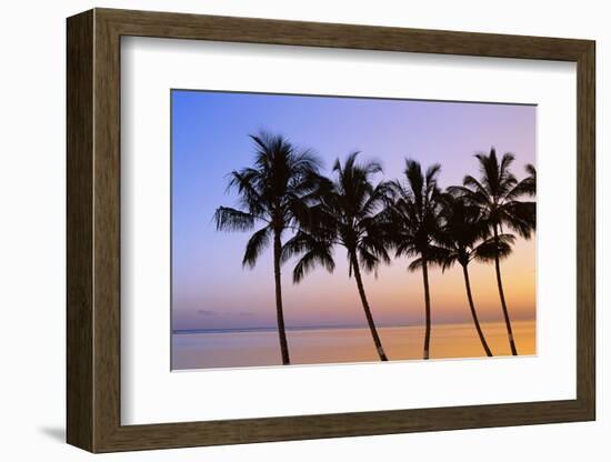 USA, Hawaii, Molokai. Palm Tree, Morning-Walter Bibikow-Framed Photographic Print