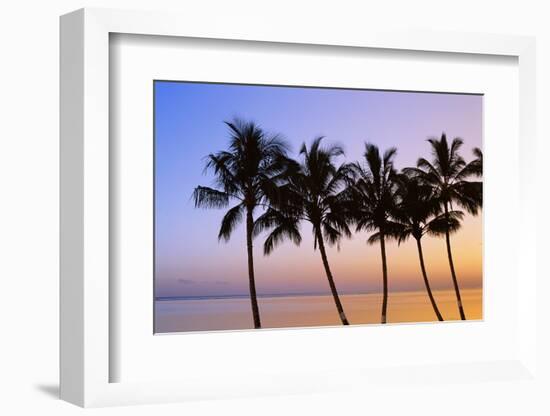 USA, Hawaii, Molokai. Palm Tree, Morning-Walter Bibikow-Framed Photographic Print