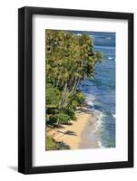 Usa, Hawaii, Oahu, Honolulu, Kahala Beach-Michele Falzone-Framed Photographic Print