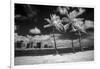 USA, Hawaii, Oahu, Honolulu, Palm trees on the beach.-Peter Hawkins-Framed Premium Photographic Print