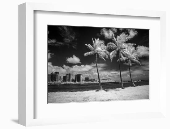 USA, Hawaii, Oahu, Honolulu, Palm trees on the beach.-Peter Hawkins-Framed Photographic Print