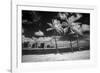 USA, Hawaii, Oahu, Honolulu, Palm trees on the beach.-Peter Hawkins-Framed Photographic Print