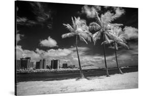 USA, Hawaii, Oahu, Honolulu, Palm trees on the beach.-Peter Hawkins-Stretched Canvas
