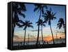 USA, Hawaii, Oahu, Honolulu, Waikiki Beach, Kapiolani Park-Michele Falzone-Framed Stretched Canvas