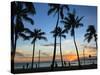 USA, Hawaii, Oahu, Honolulu, Waikiki Beach, Kapiolani Park-Michele Falzone-Stretched Canvas