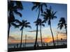 USA, Hawaii, Oahu, Honolulu, Waikiki Beach, Kapiolani Park-Michele Falzone-Mounted Photographic Print