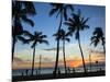 USA, Hawaii, Oahu, Honolulu, Waikiki Beach, Kapiolani Park-Michele Falzone-Mounted Photographic Print