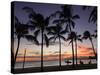 USA, Hawaii, Oahu, Honolulu, Waikiki Beach, Kapiolani Park-Michele Falzone-Stretched Canvas