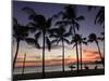 USA, Hawaii, Oahu, Honolulu, Waikiki Beach, Kapiolani Park-Michele Falzone-Mounted Premium Photographic Print