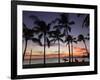 USA, Hawaii, Oahu, Honolulu, Waikiki Beach, Kapiolani Park-Michele Falzone-Framed Photographic Print