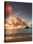 USA, Hawaii, Oahu, Kualoa Beach Park, Mokolii Island (Chinaman's Hat)-Michele Falzone-Stretched Canvas