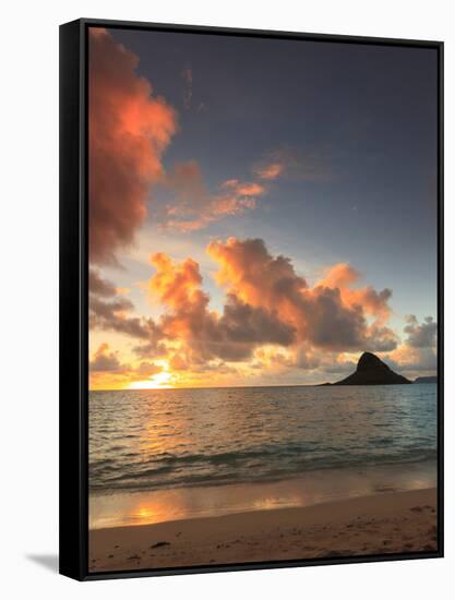 USA, Hawaii, Oahu, Kualoa Beach Park, Mokolii Island (Chinaman's Hat)-Michele Falzone-Framed Stretched Canvas