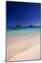 USA, Hawaii, Oahu, Lanikai Twin Mokulua Islands with Blue Water-Terry Eggers-Mounted Photographic Print