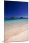 USA, Hawaii, Oahu, Lanikai Twin Mokulua Islands with Blue Water-Terry Eggers-Mounted Photographic Print