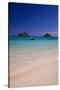 USA, Hawaii, Oahu, Sail Boat at Anchor in Blue Water with Swimmer-Terry Eggers-Stretched Canvas