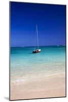 USA, Hawaii, Oahu, Sail Boat at Anchor in Blue Water with Swimmer-Terry Eggers-Mounted Photographic Print