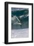 USA, Hawaii, Oahu, Surfers in Action at the Pipeline-Terry Eggers-Framed Photographic Print