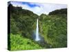 USA, Hawaii, the Big Island, Akaka Falls State Park-Michele Falzone-Stretched Canvas