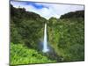USA, Hawaii, the Big Island, Akaka Falls State Park-Michele Falzone-Mounted Photographic Print