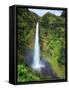 USA, Hawaii, the Big Island, Akaka Falls State Park-Michele Falzone-Framed Stretched Canvas