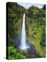 USA, Hawaii, the Big Island, Akaka Falls State Park-Michele Falzone-Stretched Canvas