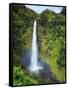 USA, Hawaii, the Big Island, Akaka Falls State Park-Michele Falzone-Framed Stretched Canvas