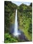 USA, Hawaii, the Big Island, Akaka Falls State Park-Michele Falzone-Stretched Canvas