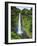 USA, Hawaii, the Big Island, Akaka Falls State Park-Michele Falzone-Framed Photographic Print