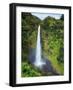 USA, Hawaii, the Big Island, Akaka Falls State Park-Michele Falzone-Framed Photographic Print