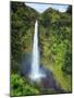 USA, Hawaii, the Big Island, Akaka Falls State Park-Michele Falzone-Mounted Photographic Print