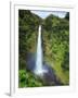 USA, Hawaii, the Big Island, Akaka Falls State Park-Michele Falzone-Framed Photographic Print