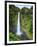 USA, Hawaii, the Big Island, Akaka Falls State Park-Michele Falzone-Framed Photographic Print