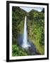 USA, Hawaii, the Big Island, Akaka Falls State Park-Michele Falzone-Framed Photographic Print