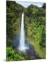 USA, Hawaii, the Big Island, Akaka Falls State Park-Michele Falzone-Mounted Photographic Print