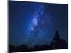 USA, Hawaii, the Big Island, Milky Way from Mauna Kea Observatory (4200m)-Michele Falzone-Mounted Photographic Print