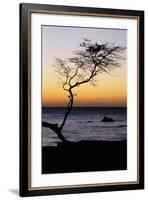 USA, Hawaii. Tree Silhouette at Twilight-Jaynes Gallery-Framed Photographic Print