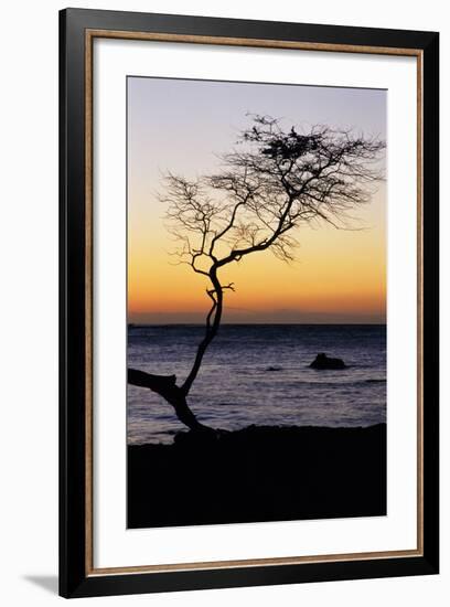 USA, Hawaii. Tree Silhouette at Twilight-Jaynes Gallery-Framed Photographic Print