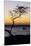 USA, Hawaii. Tree Silhouette at Twilight-Jaynes Gallery-Mounted Photographic Print