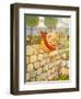 USA Humpty Dumpty Book Plate-null-Framed Giclee Print