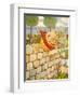 USA Humpty Dumpty Book Plate-null-Framed Giclee Print