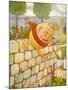 USA Humpty Dumpty Book Plate-null-Mounted Giclee Print