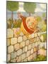USA Humpty Dumpty Book Plate-null-Mounted Giclee Print