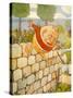 USA Humpty Dumpty Book Plate-null-Stretched Canvas