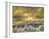 USA, Idaho, Aspens a with clouds-Terry Eggers-Framed Photographic Print