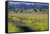 USA, Idaho, Fairfield, Camas Prairie, Creek and fence in the Camas Prairie-Terry Eggers-Framed Stretched Canvas