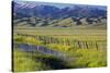 USA, Idaho, Fairfield, Camas Prairie, Creek and fence in the Camas Prairie-Terry Eggers-Stretched Canvas