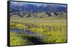 USA, Idaho, Fairfield, Camas Prairie, Creek and fence in the Camas Prairie-Terry Eggers-Framed Stretched Canvas